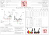 Design Next Lingerie Fashion Collection With Tech Packs By Adhikaram